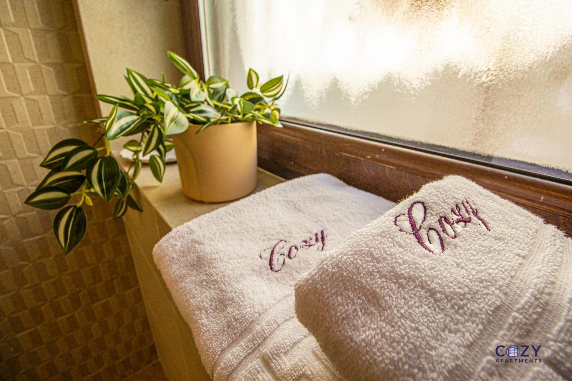 Cozy Brand New Boutique Aparthotel Brasov Luaran gambar